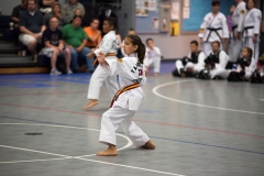 ata-june-05