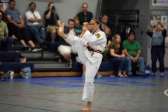 ata-june-17