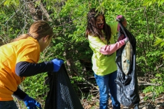 cleanup-7